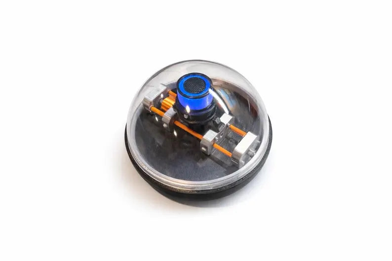 Black Eye Cam Replica
