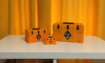 Weapon Case Container Replica